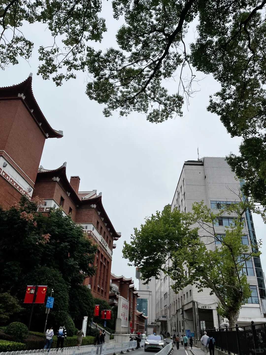 供卵试管成功率翻倍秘诀：生殖专家不会说的真相