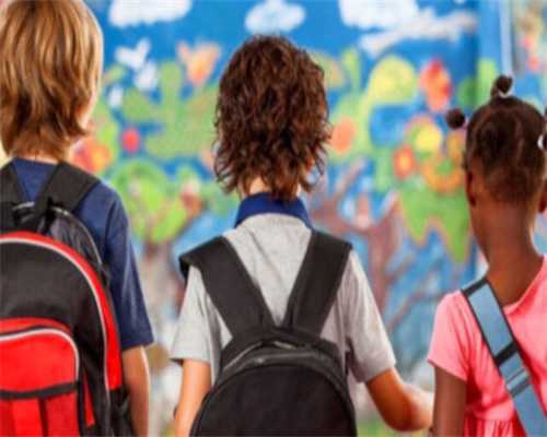 全面梳理国内省会城市借卵试管咨询的相关信息与服务机构